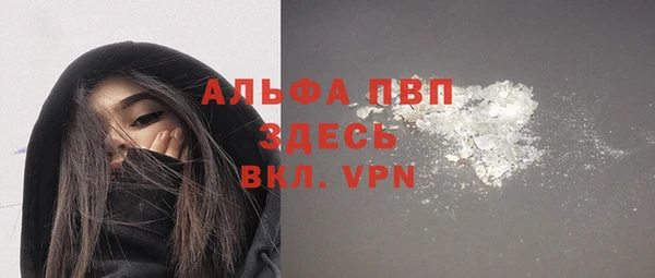 бошки Дмитров