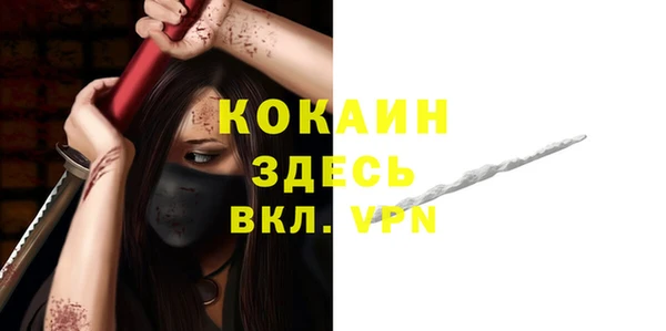 стаф Елизово