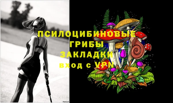 бошки Дмитров