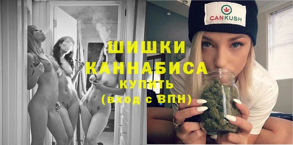 стаф Елизово