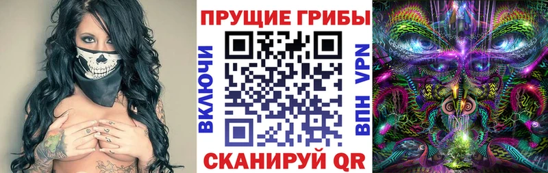 Псилоцибиновые грибы прущие грибы  Купить где  Сельцо 